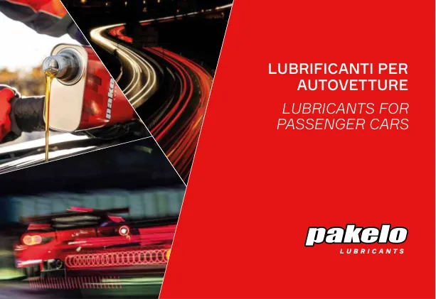 Pakelo katalogas: Lengviesiems automobiliams